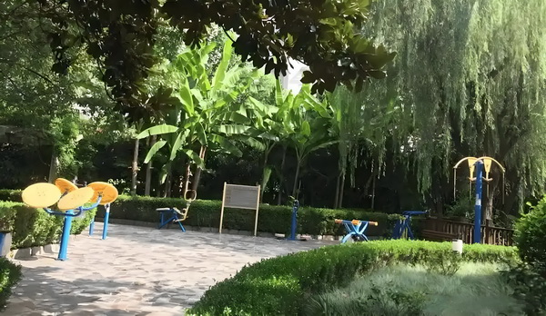 全城蜜恋，萌辣妻出逃
