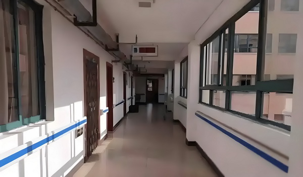 水墨彭城：多情丫鬟腹黑王